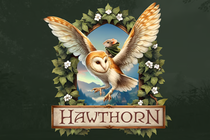 Hawthorn доберёт денег на кикстартере Hawthorn доберёт денег на кикстартере